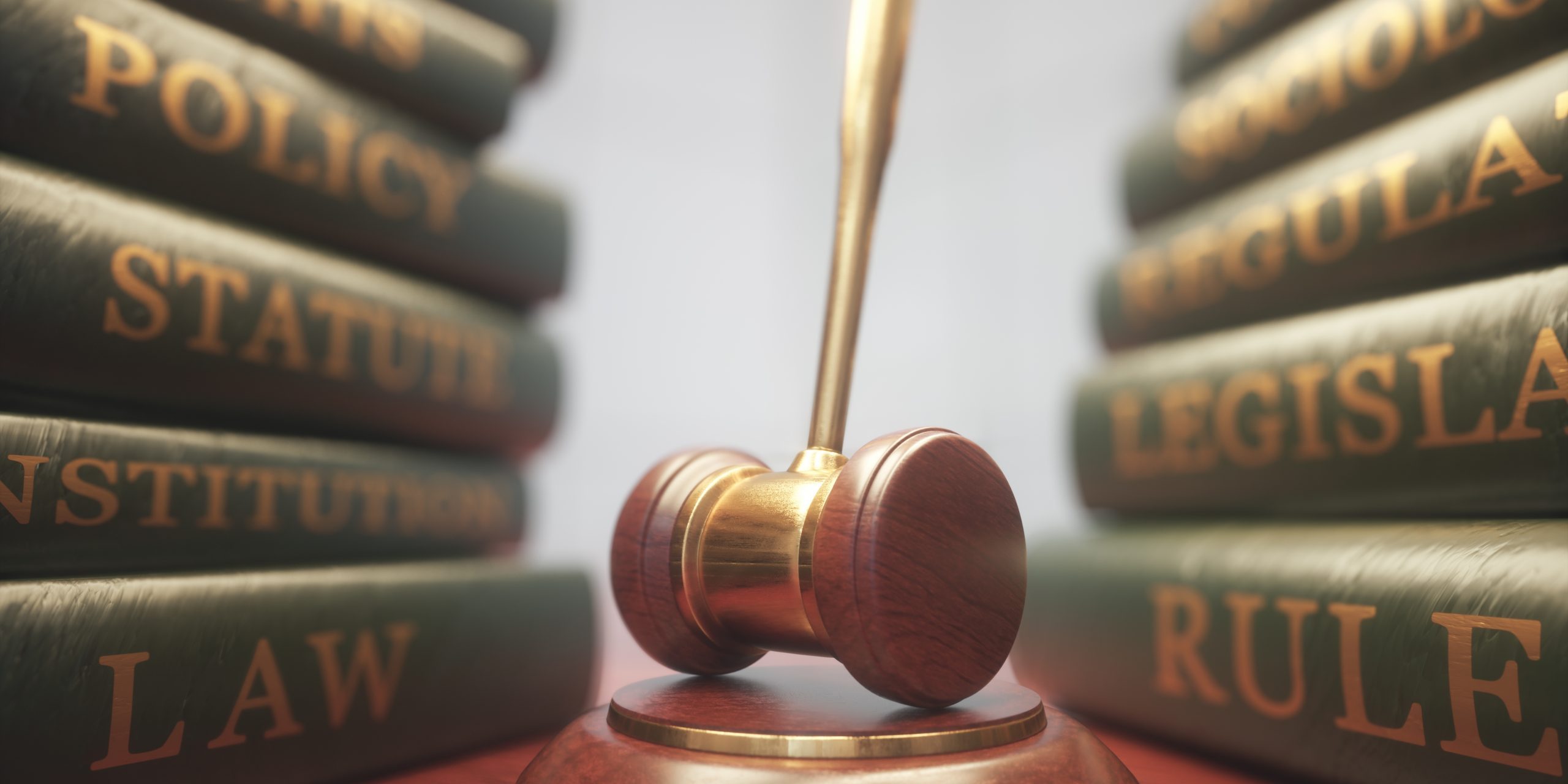 Human Rights Hammer Book