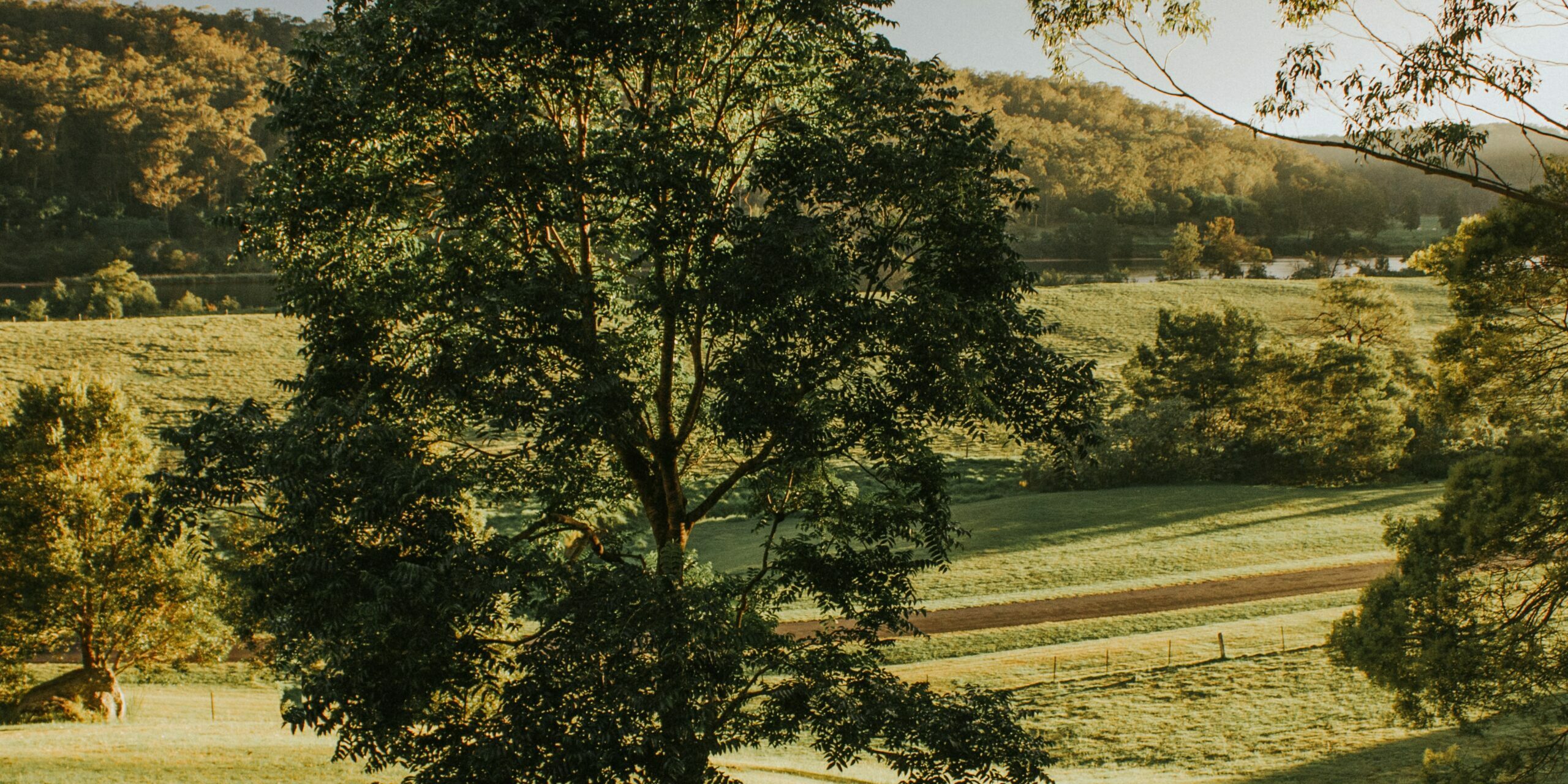 kane-taylor-8QPfT0IinCU-unsplash