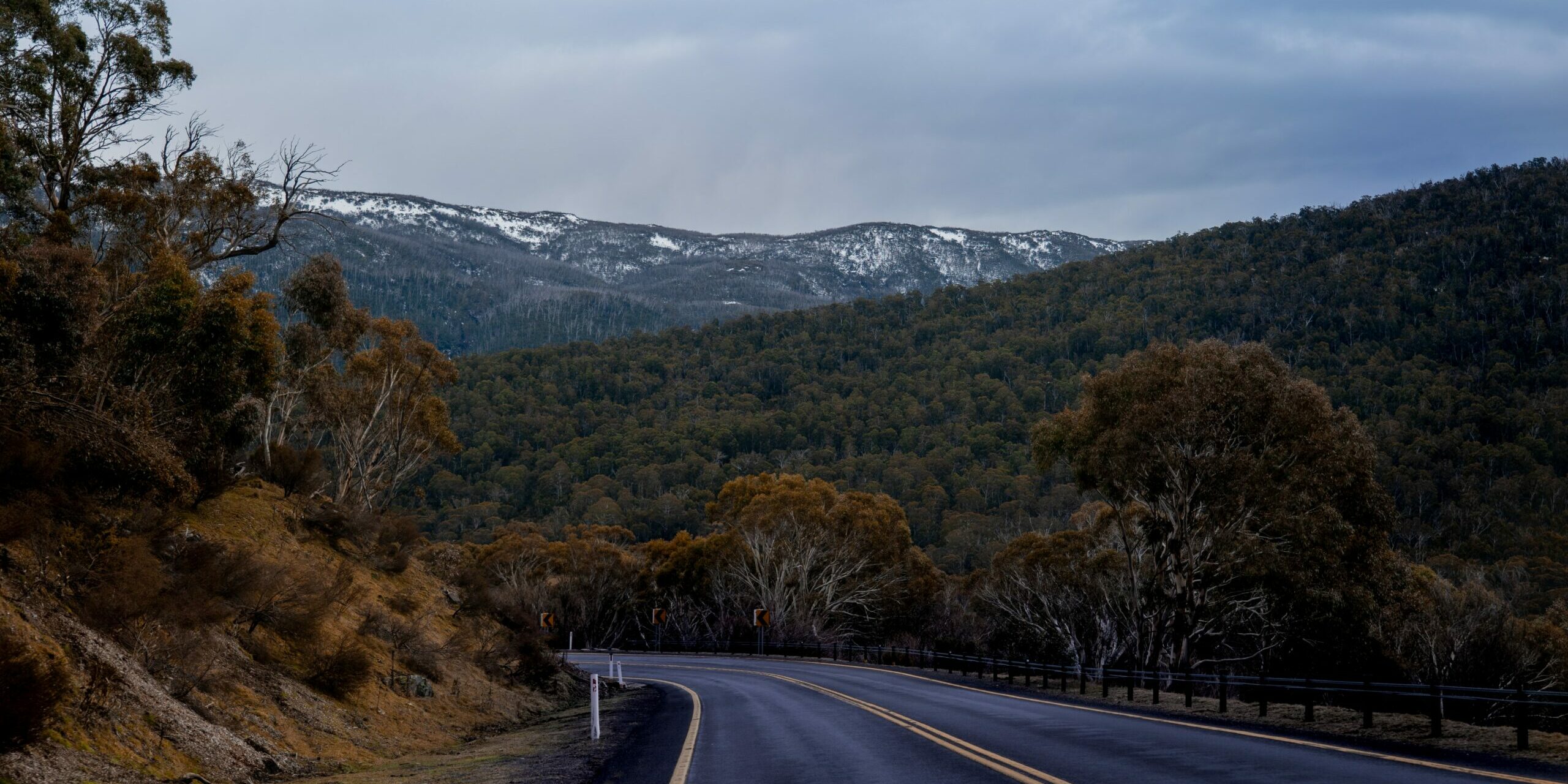 tarryn-myburgh-VfQYwCa6I6U-unsplash