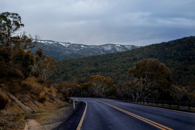 tarryn-myburgh-VfQYwCa6I6U-unsplash
